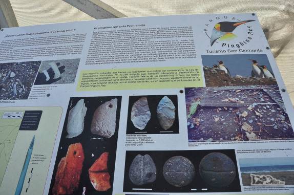 Placa informativa em pinguinera na Terra do Fogo, no sul do Chile